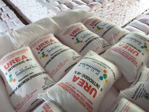 Terungkap Biang Kerok Petani Sering Teriak Pupuk Subsidi Langka