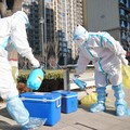 Tim WHO Sudah di Wuhan, Mau Bongkar Misteri Asal Virus Corona