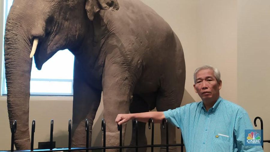 Dok.Lo Kheng Hong