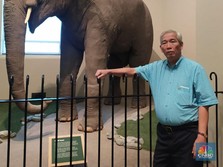 Gajah Tunggal Resmi Bagi Dividen, Lo Kheng Hong Dapat Berapa?