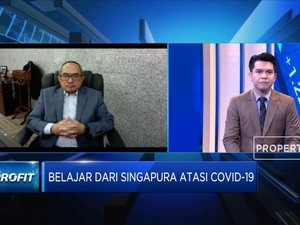 Investasi Singapura ke RI Alami Peningkatan di Tahun Pandemi