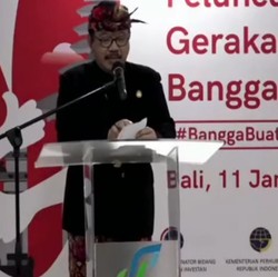 Luhut Ingin Ada Work From Bali, Wagub Bali Komentar Begini!