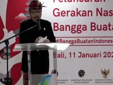Luhut Ingin Ada Work From Bali, Wagub Bali Komentar Begini!