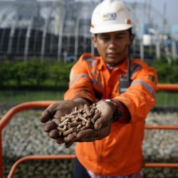 Dorong Transisi Energi, PLN Pamer Siasat Kurangi Emisi Karbon