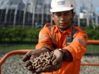 Dorong Transisi Energi, PLN Pamer Siasat Kurangi Emisi Karbon