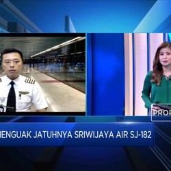 Pilot: Cuaca Hingga Mesin Bisa Sebabkan Kecelakaan Pesawat