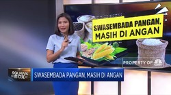 Swasembada Pangan, Masih di Angan