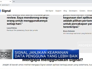 Signal dan Telegram Laris Manis