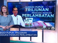 Subsidi Pupuk Triliunan, Produksi Pangan Perlambatan