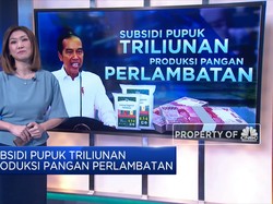 Subsidi Pupuk Triliunan, Produksi Pangan Perlambatan