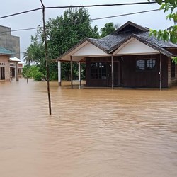 Banjir Kalsel Akibat Lahan Sawit & Tambang? Ini Jawaban BNPB