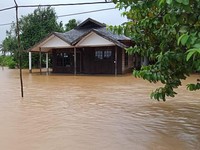 Banjir Kalsel Akibat Lahan Sawit & Tambang? Ini Jawaban BNPB