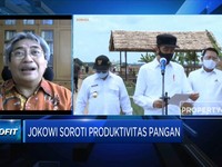 Cegah Krisis, RI Perlu Kembangkan Ketahanan Pangan Lokal