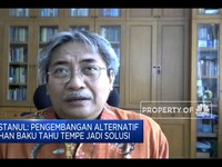 Masih Impor Kedelai, RI Perlu Akternatif Bahan Tahu-Tempe