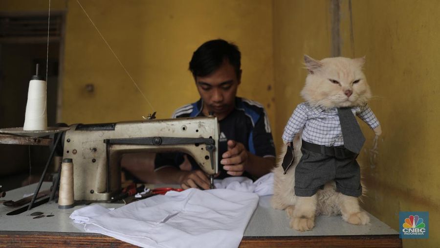 Penjahit Fredi Lugina Priadi menjahit pesanan kostum karakter di Parung Bogor, Jawa Barat, Jumat 15/1/2021. 

Fredi membuat berbagai pakaian kucing mulai dari pakaian yang mirip dengan pakaian manusia, sampai pakaian karakter seperti saat cosplay. Fredi juga menambahkan aksesoris pelengkap penampilan kucing seperti topi, tas, dan berbagai aksesoris lainnya. Ia juga menambahkan tangan boneka yang berbentuk seperti kaki kucing pada bagian lengan kostum. Ia memulai usaha nya sejak 2017 lalu 