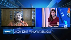 Kelangkaan Pupuk, Pengaruhi Produktivitas Pangan RI