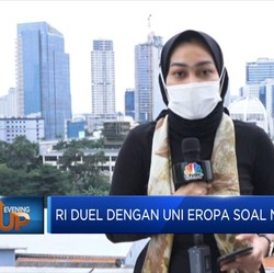 RI Duel Dengan Uni Eropa Soal Nikel