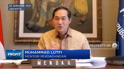 RI Punya 'Harta Karun' Sarang Burung Walet