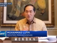 RI Punya 'Harta Karun' Sarang Burung Walet