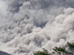Potret Erupsi Gunung Semeru