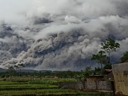 Pasca Keluarkan Awan Panas Ini Status Terbaru Gunung Semeru