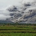 Cegah Korban, Pemerintah Bikin SMS Blast Waspada Bencana