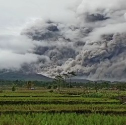 Cegah Korban, Pemerintah Bikin SMS Blast Waspada Bencana