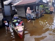 Quo Vadis Ekonomi Hijau Indonesia?