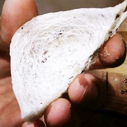 China & Hong Kong Rebutan Harta Karun RI, Berani Bayar Rp 7,4 Juta/Kg