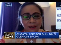 Ekspor Nikel Dilarang, APNI Harap Serapan Domestik Maksimal