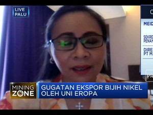 Ekspor Nikel Dilarang, APNI Harap Serapan Domestik Maksimal