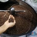 Vietnam Lockdown, Harga Kopi Dunia Melesat! Kok Bisa?