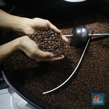 Melihat Bisnis Kopi yang Tetap Cuan Saat Pandemi Covid-19