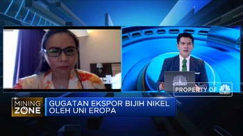 Jika RI Punya 31 Smelter di 2024, Ini Harapan Penambang Nikel