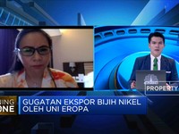 Jika RI Punya 31 Smelter di 2024, Ini Harapan Penambang Nikel