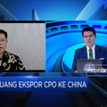 Penuhi Target Produksi, Mahkota Group Akuisisi Lahan Sawit