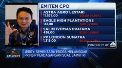 RI Minta Eropa Kedepankan Prinsip Kesetaraan Sawit di WTO