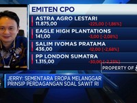 RI Minta Eropa Kedepankan Prinsip Kesetaraan Sawit di WTO