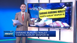Sarang Burung Walet 'Harta Karun' Ekspor RI