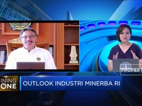 Dirjen Minerba: Insentif, Daya Tarik Investasi Sektor Nikel