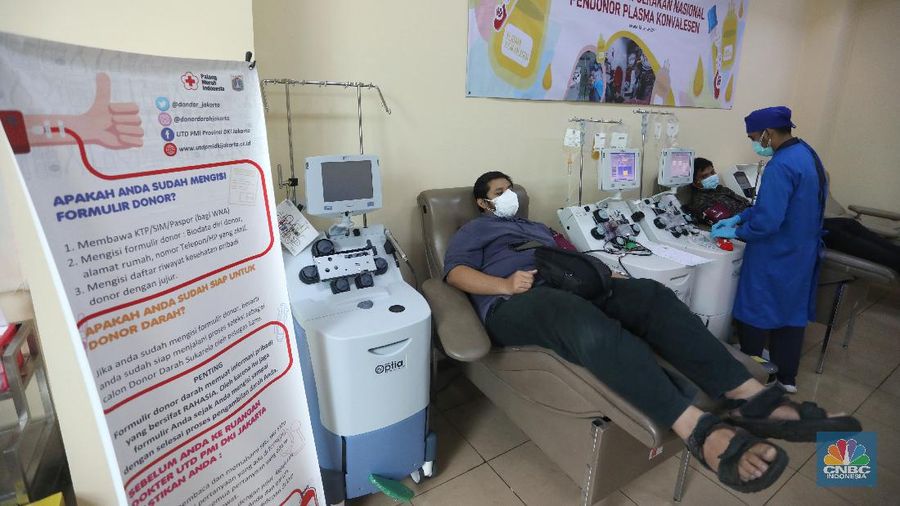 Donor plasma konvalesen penyitas Covid-19. (CNBC Indonesia/Andrean Kristianto)