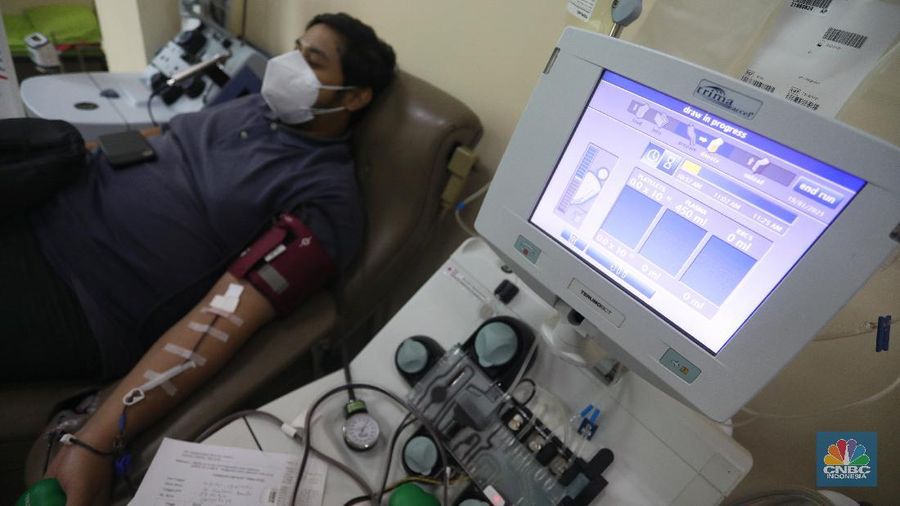 Donor plasma konvalesen penyitas Covid-19. (CNBC Indonesia/Andrean Kristianto)