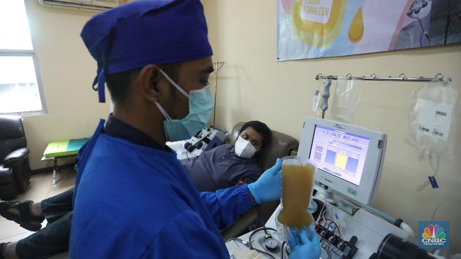 Donor plasma konvalesen penyitas Covid-19. (CNBC Indonesia/Andrean Kristianto)