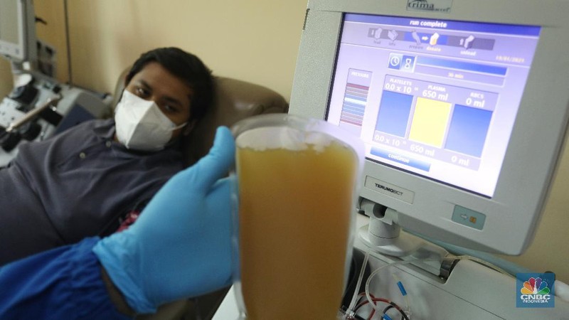 Donor plasma konvalesen penyitas Covid-19. (CNBC Indonesia/Andrean Kristianto)