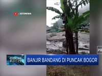 Hujan Deras! Banjir Bandang Hantam Kawasan Puncak Bogor