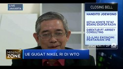 Kadin Optimistis RI Kuat Hadapi Gugatan Uni Eropa Soal Nikel