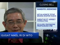 Kadin Optimistis RI Kuat Hadapi Gugatan Uni Eropa Soal Nikel