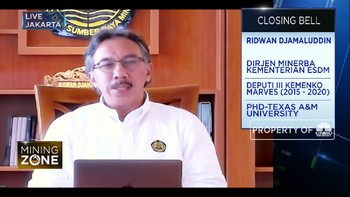 ESDM Pastikan Kemudahan Investasi Smelter, Ini Syaratnya