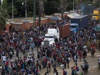 Penampakan Ribuan Migran Honduras 'Ngotot' Menembus AS
