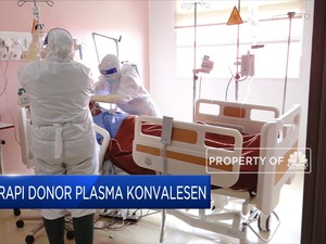 Tidak Semua Pasien Sembuh Covid-19 Bisa Donor Darah Plasma
